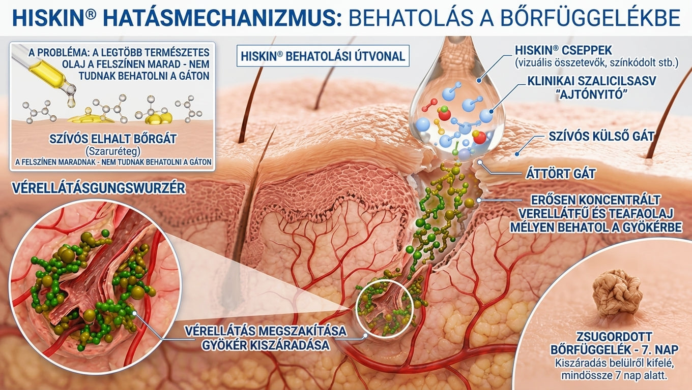 XYL-𝐇𝐢𝐬𝐤𝐢𝐧® 2 az 1-ben fejlett, fájdalommentes és hegmentes bőrmegújító krém – bőrkinövések, szemölcsök és látható bőrhibák ellen